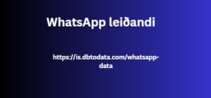   WhatsApp leiðandi