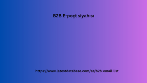 B2B E-poçt siyahısı